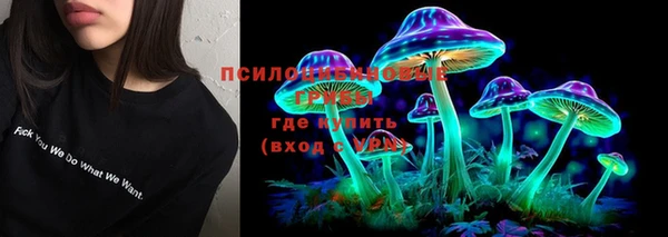 прущие грибы Балабаново