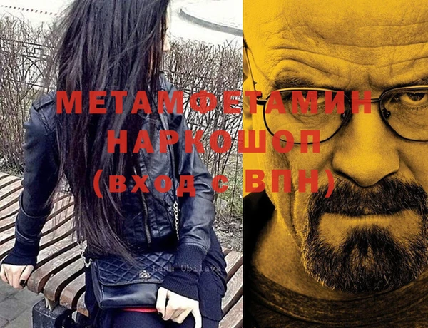 прущие грибы Балабаново