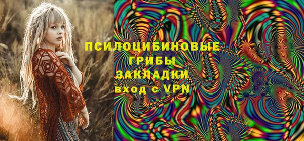 прущие грибы Балабаново