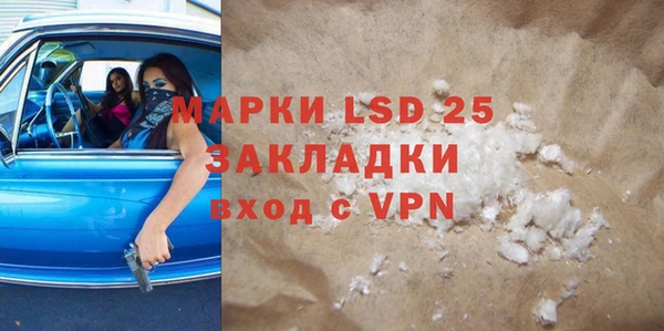 прущие грибы Балабаново